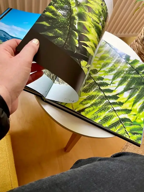 Hands opening the book on a spread of ferns